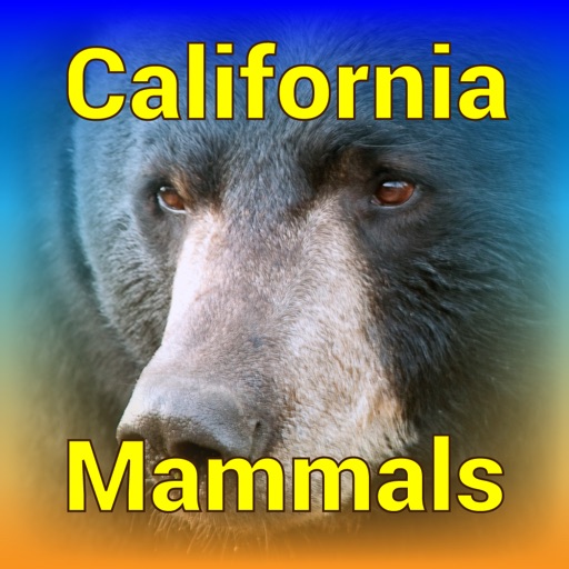 California Mammals – Guide to Common Species