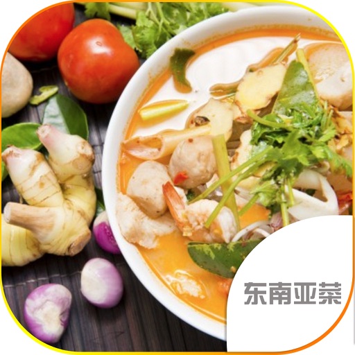 美食菜谱之东南亚菜 - 东南亚美食地图 icon