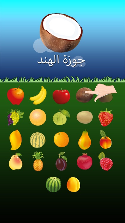 Arabic Fruits Go for Kids