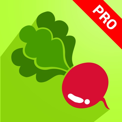 Yummy Vegetable Recipes Pro ~ Best of delicious vegetable recipes icon