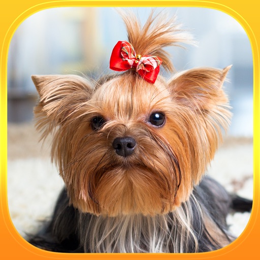 Find the Pair : Puppies : Free Matching Game iOS App