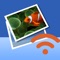 Wireless Transfer App is an easy to use photo and video transfer tool