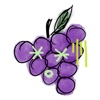 GRAPEs Stickers for iMessage