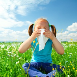 List of Allergens Details