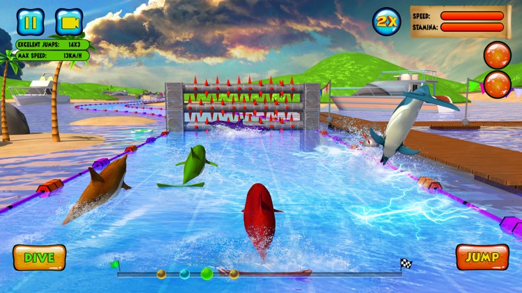 Dolphin Racing 3D