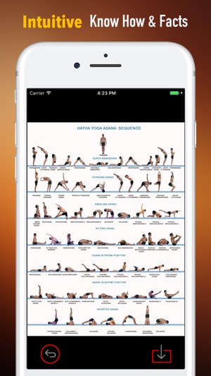 Hatha Yoga for Beginners-Video Tutorials and Guide(圖1)-速報App