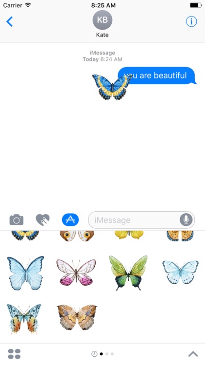 Decorative Butterflies