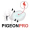 Pigeon Hunting Planner for iPad