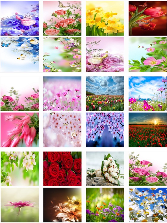 Flowers HD Wallpaper Lock Screen And Flowers Games
