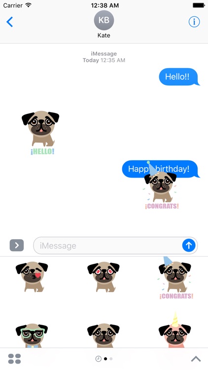 BUBU Pug