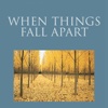 Practical Guide For When Things Fall Apart