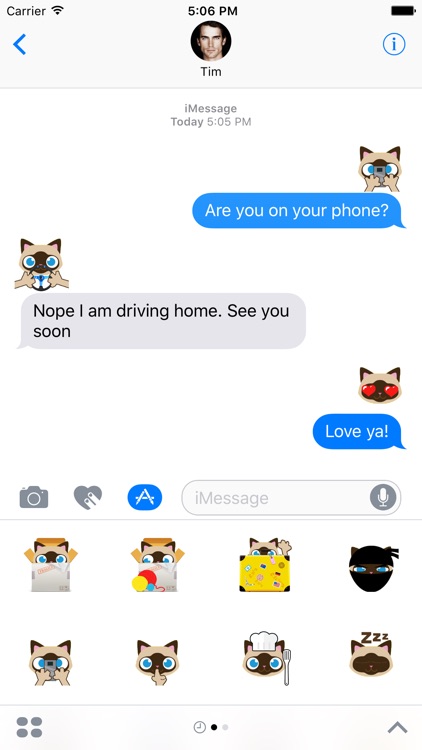 Catmoji - Cat Sticker Pack for Cat Lovers screenshot-3