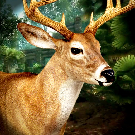 Pro Deer Hunter 3D: Headshot Kill Sport Challenge icon