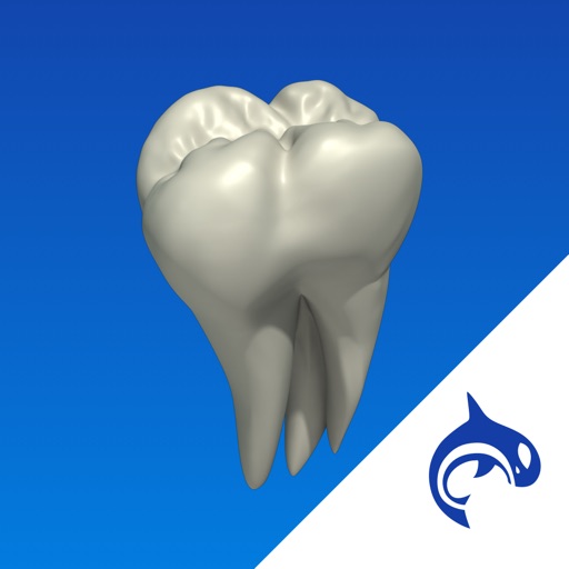 Dental Decide - Education & Engagement icon