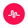 Musical.ly - Playlist Manager for iPad