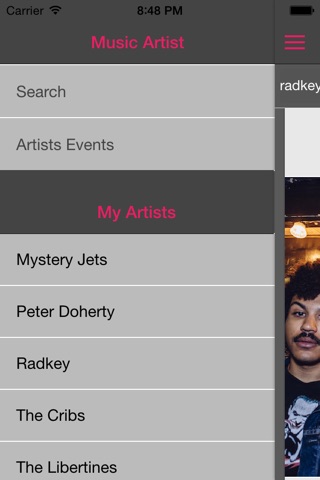 Music Artist screenshot 3