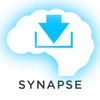 Biology Synapse