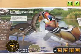Game screenshot ARCBIRD - ARC BIRD apk