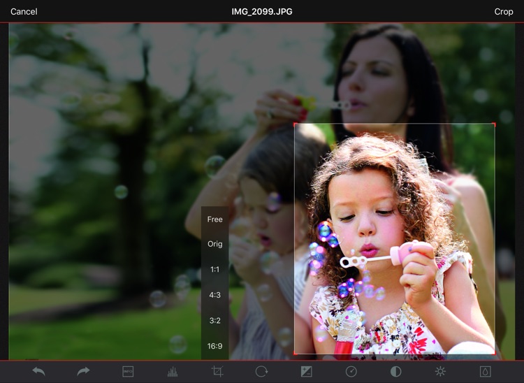 Digital Director screenshot-4