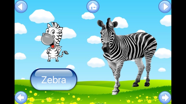 Zoo Animals My First English Learning Flash Cards(圖5)-速報App