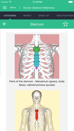 Human Skeleton Reference Guide(圖5)-速報App