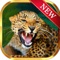 Wild Panther Safari Slots Machine