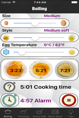 Any egg style timer screenshot 2