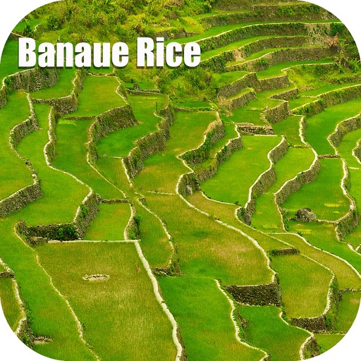 Banaue Rice Terraces Philippines Tourist Guide