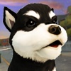 Puppy Simulator 2017 . Free Dog Games vs Cats