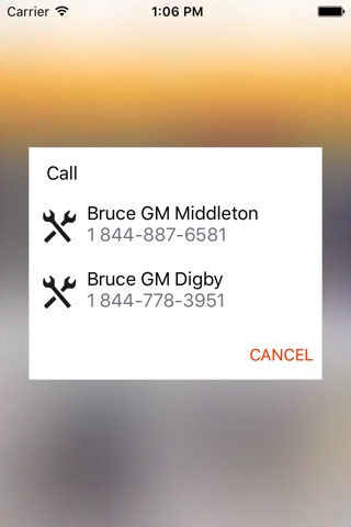 Bruce GM screenshot 3