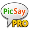 PicSay PRO - Photo Effects By Shinycore