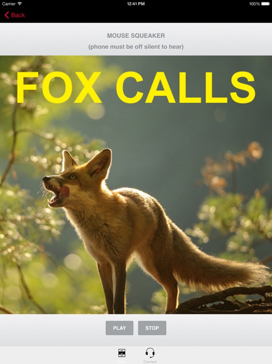 Predator Calls for Hunting Fox