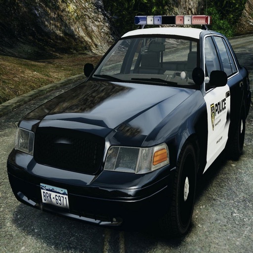 Real Police Car Driving for GTA-V Speed icon