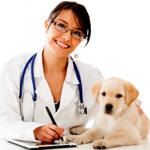 Veterinary Glossary-Study Guide and Video Lessons icon