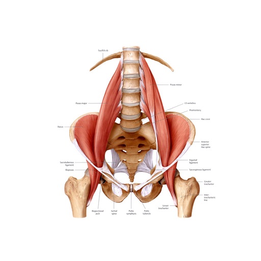 PSOAS