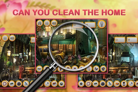 Laraa's Home Cleaning - Hidden Home Mysteries screenshot 2