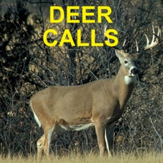 Activities of Deer Calls and Deer Sounds for Deer Hunting