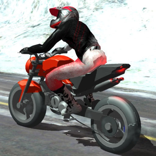 Duceti Snowy Rider Icon