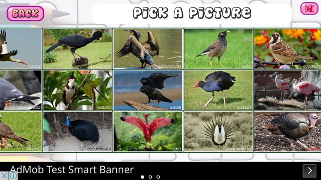 Puzzles of Birds Free(圖3)-速報App