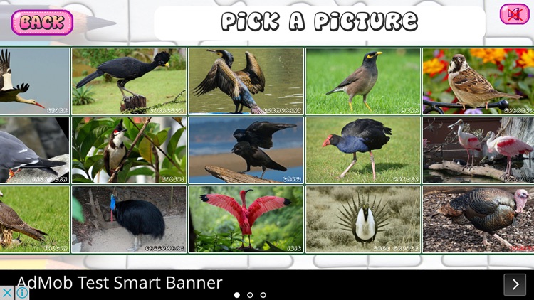 Puzzles of Birds Free