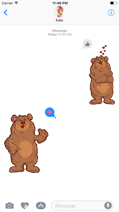 How to cancel & delete Big Bear - Stickers for iMessage from iphone & ipad 3