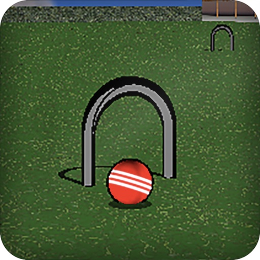 Croquet Pro Icon