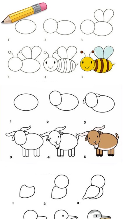 Learn Drawing Step By Step For Kids