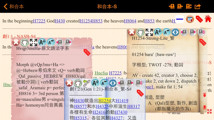 Handy Bible Chinese Pro screenshot-4