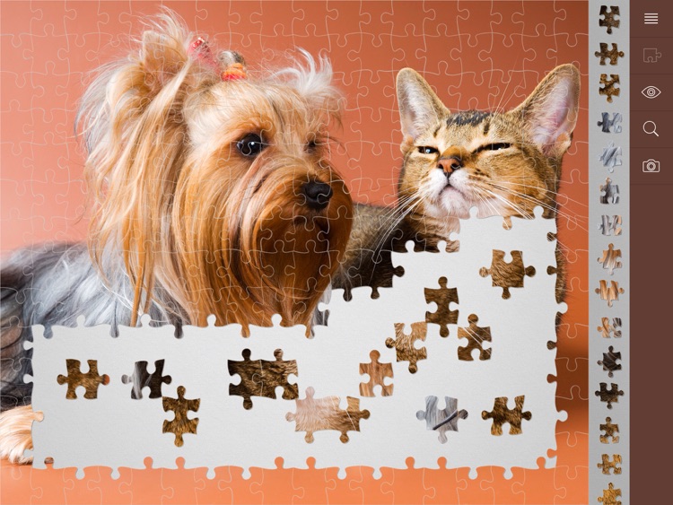 Jigsaw Puzzle Plus screenshot-4