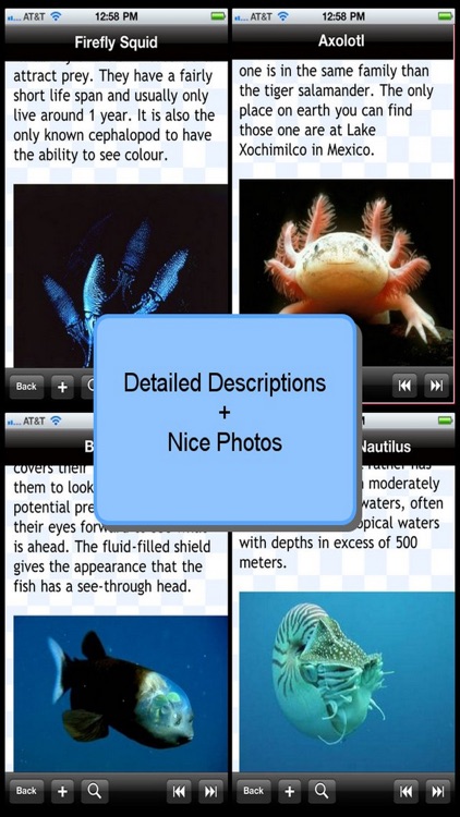 Weirdest Sea Creatures screenshot-3
