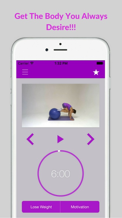 Swiss Ball Exercises Stability Fit Workout Program screenshot-4