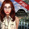 Western Street Investigation Pro : Hidden object