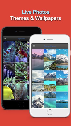 Free Wallpapers, Themes And Photos Downloader(圖1)-速報App