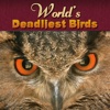 World's Deadliest Birds